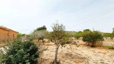 Chalet in Hondón de los Frailes photo 37