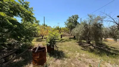 Rustic house in La Romana photo 11