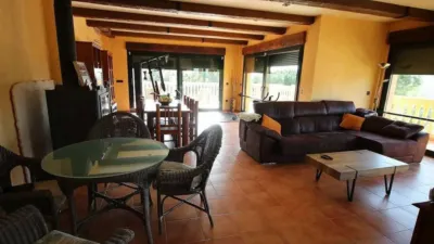 Chalet in Petrer photo 20