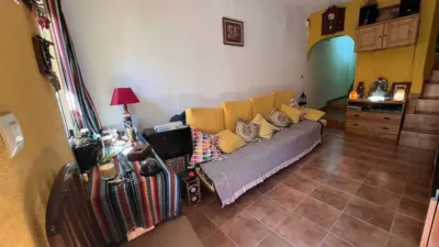 Apartment in Elche de La Sierra photo 3
