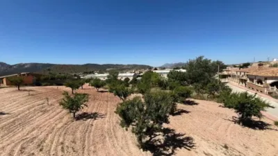 Apartment in Algueña photo 5