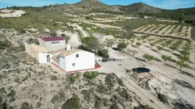 Rustic House in Caudete photo 22