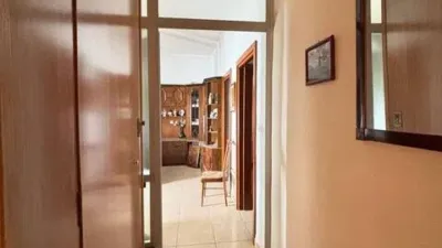 Miniatura 11