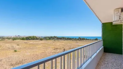 Pis – Torrevieja - Vista 4