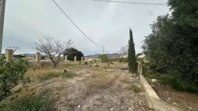 Rustic house in Novelda photo 21