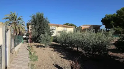 Chalet in Monòver - Monóvar photo 3