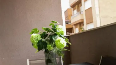 Apartment on Calle San Pascual photo 36
