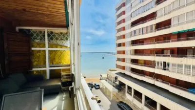 Pis – Torrevieja, San Roque - Vista 4