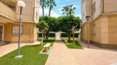 Apartment in Playa del Cura photo 26