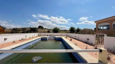 Chalet in Jumilla photo 5
