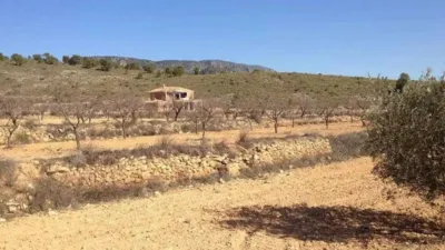Chalet in El Pinós - Pinoso photo 18