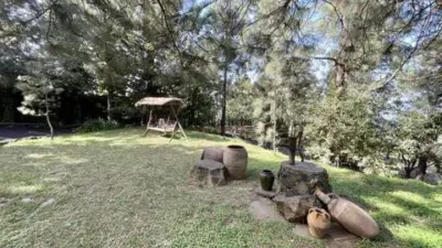 Chalet on Calle El Bebedero-Pinolere-Aguamansa S-N photo 36