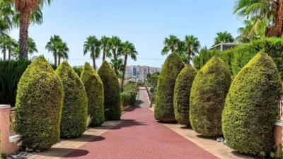 Apartment in Playa Flamenca-Las Piscinas photo 27