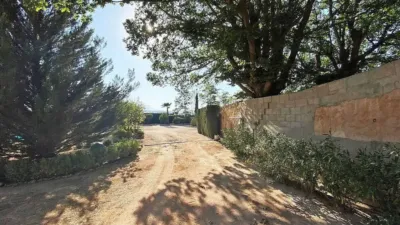 Rustic house in El Pinós - Pinoso photo 8