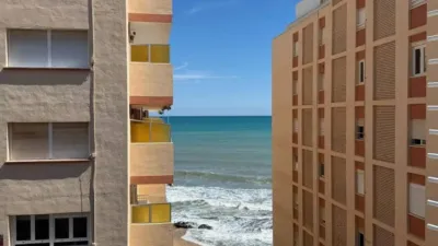 Apartment in Playa del Cura photo 51
