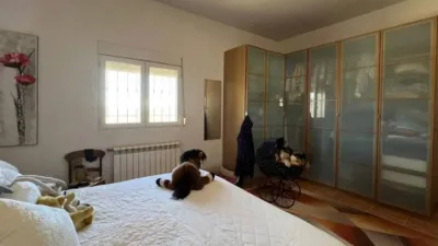 Chalet in Jumilla photo 17