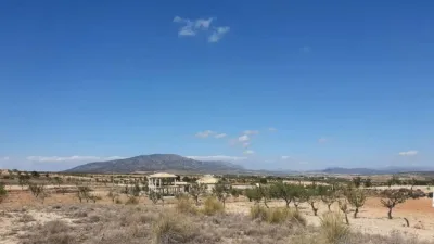 Chalet in Jumilla photo 47