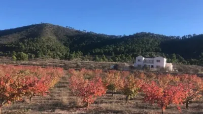 Chalet in El Pinós - Pinoso photo 9