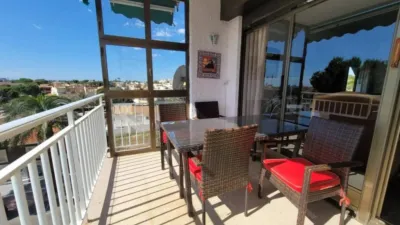 Apartment in Cabo Roig-La Zenia-La Regia photo 3
