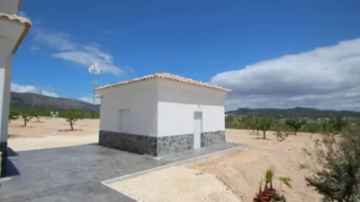Chalet in El Pinós - Pinoso photo 4