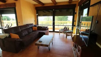 Chalet in Petrer photo 19