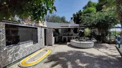 Rustic house in Crevillent photo 17