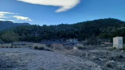 Rustic house in Jumilla photo 8