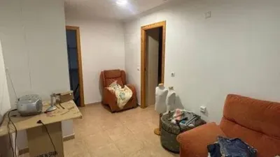 Miniatura 12