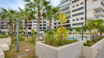 Piso – Orihuela, Mil Palmeras - Vista 3