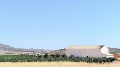 Rustic property in Yecla photo 9