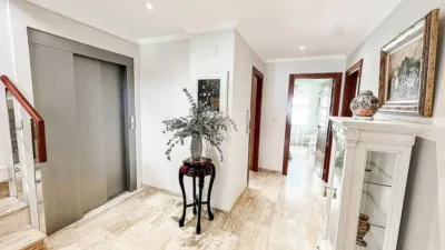 Apartment in Almansa photo 24
