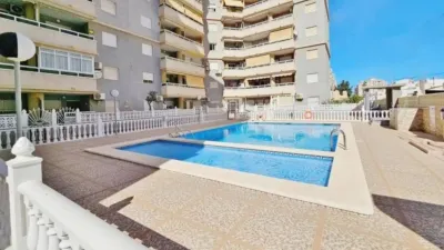 Pis – Torrevieja - Vista 5