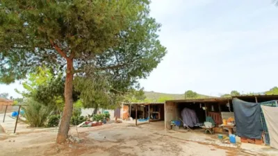 Chalet in Hondón de los Frailes photo 32