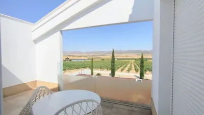 Rustic property in Yecla photo 32