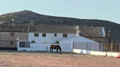 Chalet in Jumilla photo 34