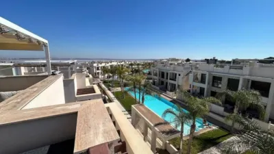 Pis - Vista 2