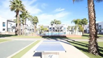 Apartment in Cabo Roig-La Zenia-La Regia photo 20