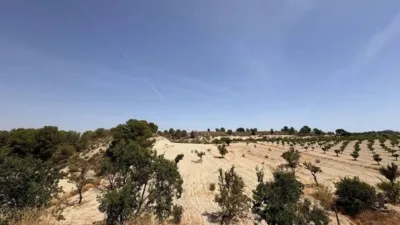 Rustic house in Jumilla photo 8