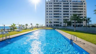 Pis – Torrevieja - Més