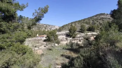Chalet in Petrer photo 15