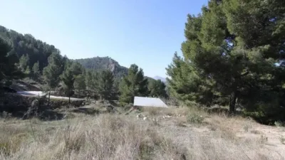 Chalet in Petrer photo 18