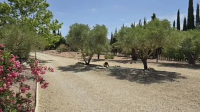 Chalet in Salinas photo 24