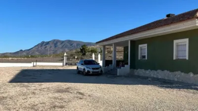 Chalet in Jumilla photo 4