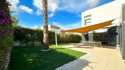 Chalet in Algorfa photo 9