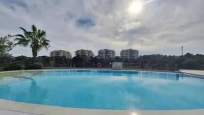 Apartment in Las Filipinas-Villamartín-Canal Norte photo 45