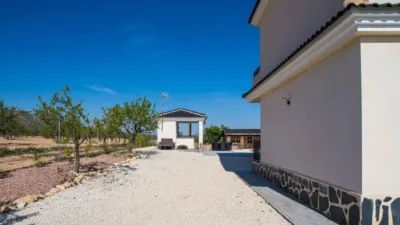 Chalet in El Pinós - Pinoso photo 12