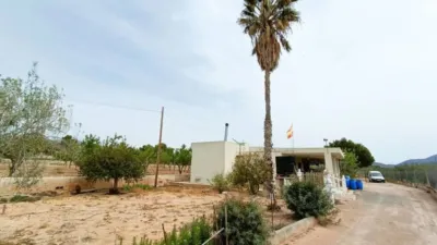 Chalet in Hondón de los Frailes photo 9