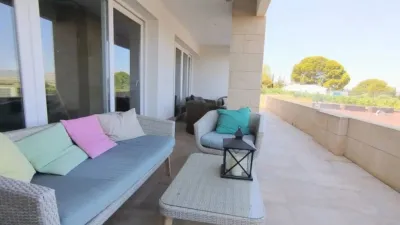Rustic property in Yecla photo 58