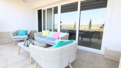 Rustic property in Yecla photo 55