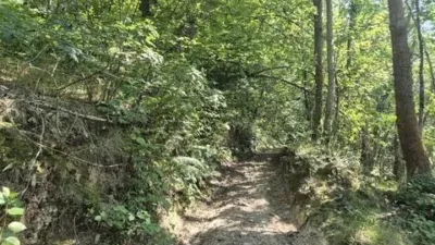 Rustic property in Los Barredos (Laviana) photo 17